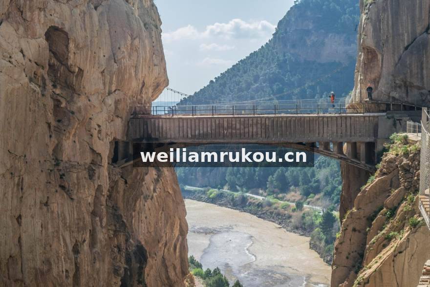 威廉体育足球赛事分析场景